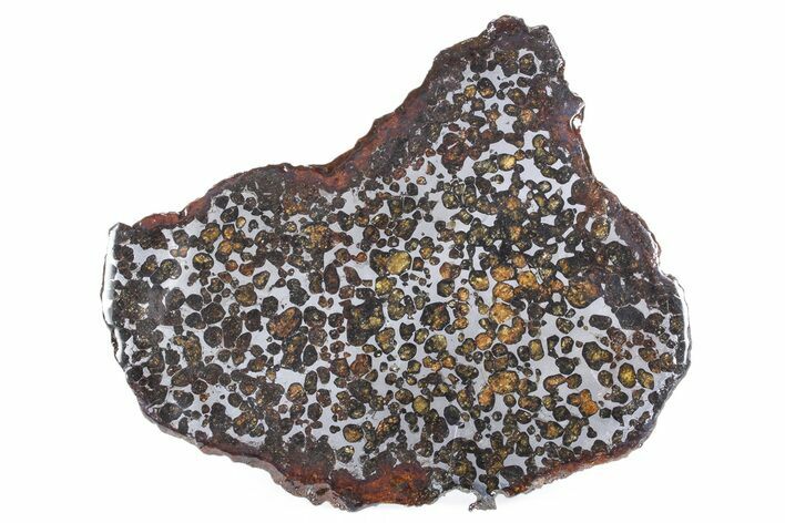 Polished Sericho Pallasite Meteorite ( g) Slice - Kenya #348855